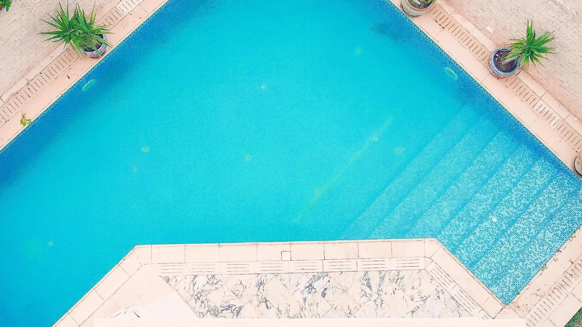 L'Orchidee - Suites De Luxe Avec Piscine Chauffee Et Vue Sur Le Lac De Tunis